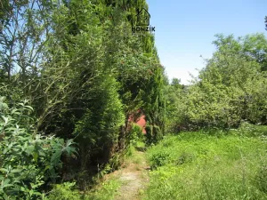 Prodej chaty, Poříčí nad Sázavou, Pod Lutovem, 80 m2