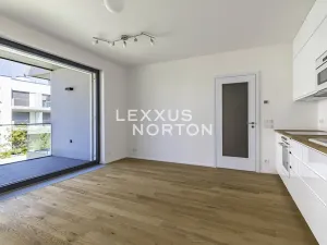 Pronájem bytu 2+kk, Praha - Holešovice, U průhonu, 48 m2