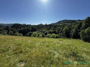 Prodej pozemku pro bydlení, Velká Lhota, 11334 m2