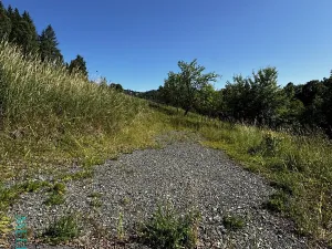 Prodej pozemku pro bydlení, Velká Lhota, 11334 m2