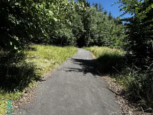 Prodej pozemku pro bydlení, Velká Lhota, 11334 m2
