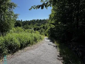 Prodej pozemku pro bydlení, Velká Lhota, 11334 m2