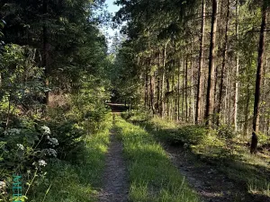 Prodej pozemku pro bydlení, Velká Lhota, 11334 m2