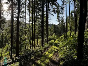 Prodej pozemku pro bydlení, Velká Lhota, 11334 m2