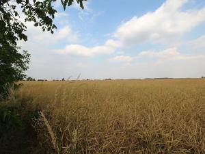 Prodej chaty, Kozojedy, 66 m2