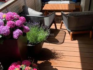 Pronájem bytu 2+kk, Praha - Smíchov, Pod Kesnerkou, 53 m2