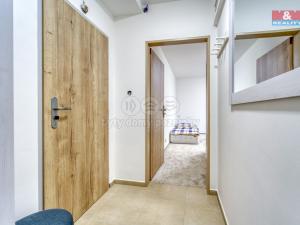 Pronájem bytu 1+kk, Plzeň - Jižní Předměstí, Čechova, 21 m2
