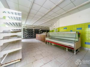 Prodej komerční nemovitosti, Sokolov, Závodu míru, 340 m2