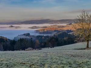 Prodej ubytování, Vysoké nad Jizerou, 165 m2
