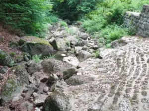 Prodej rodinného domu, Desná - Desná III, Riedlova, 147 m2