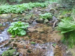 Prodej rodinného domu, Desná - Desná III, Riedlova, 147 m2