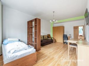 Pronájem bytu 1+kk, Praha - Braník, Nad přívozem, 37 m2