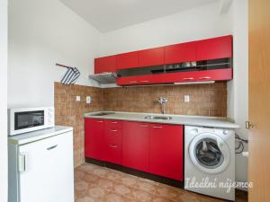 Pronájem bytu 1+kk, Praha - Braník, Nad přívozem, 37 m2
