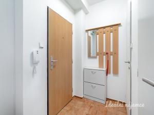 Pronájem bytu 1+kk, Praha - Braník, Nad přívozem, 37 m2