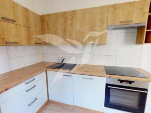 Pronájem bytu 2+kk, Plzeň, Na Celchu, 67 m2