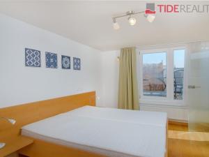 Pronájem bytu 4+kk, Praha - Vinohrady, U Havlíčkových sadů, 130 m2