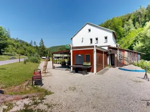 Prodej ubytování, Zábřeh - Dolní Bušínov, 600 m2