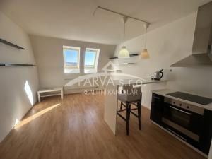 Pronájem bytu 1+kk, Plzeň - Východní Předměstí, Božkovská, 34 m2