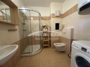 Pronájem bytu 1+kk, Plzeň - Východní Předměstí, Božkovská, 34 m2
