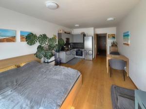 Pronájem bytu 1+kk, Praha, K Beranovu, 38 m2