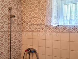 Prodej obchodního prostoru, Píšť, 180 m2