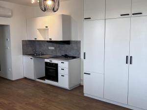 Pronájem bytu 1+kk, Dyje, 44 m2