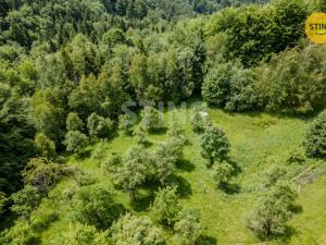 Prodej pozemku pro bydlení, Bystřice, 22090 m2
