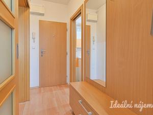 Pronájem bytu 1+1, Brno - Komín, Olbrachtovo náměstí, 32 m2