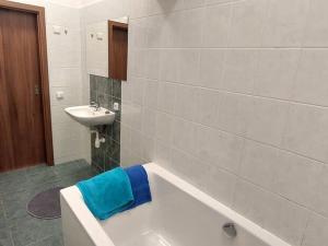 Pronájem bytu 1+kk, Brno - Bystrc, Rakovecká, 25 m2