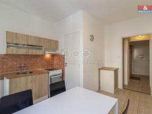 Pronájem bytu 3+1, Praha - Nové Město, Masarykovo nábřeží, 110 m2