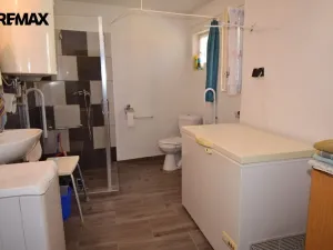 Prodej vícegeneračního domu, Protivín - Myšenec, 190 m2