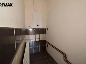 Prodej vícegeneračního domu, Protivín - Myšenec, 190 m2