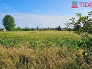 Prodej rodinného domu, Lužec nad Cidlinou, 306 m2
