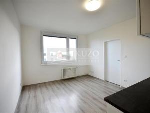 Pronájem bytu 1+1, Chomutov, Kostnická, 35 m2
