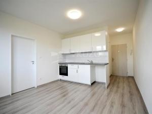 Pronájem bytu 1+1, Chomutov, Kostnická, 35 m2