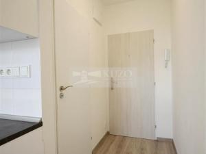 Pronájem bytu 1+1, Chomutov, Kostnická, 35 m2