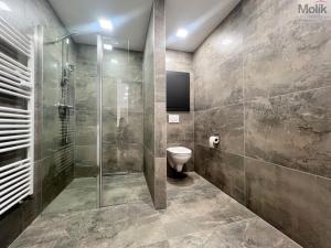 Pronájem bytu 2+kk, Most, Čsl. armády, 56 m2