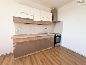 Pronájem bytu 2+kk, Most, Čsl. armády, 56 m2