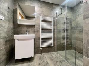Pronájem bytu 2+kk, Most, Čsl. armády, 56 m2