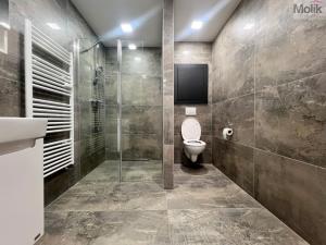 Pronájem bytu 2+kk, Most, Čsl. armády, 56 m2