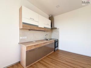 Pronájem bytu 2+kk, Most, Čsl. armády, 56 m2