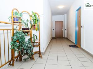 Pronájem bytu 3+kk, Aš, Hlavní, 73 m2