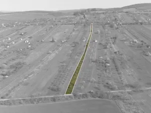 Prodej sadu/vinice, Strážnice, 4353 m2