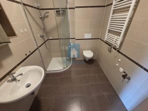 Pronájem bytu 2+kk, Plzeň, alej Svobody, 50 m2