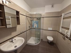 Pronájem bytu 2+kk, Plzeň, alej Svobody, 50 m2