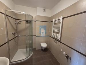 Pronájem bytu 2+kk, Plzeň, alej Svobody, 50 m2