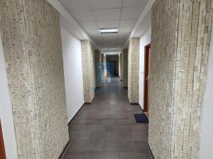 Pronájem bytu 2+kk, Plzeň, alej Svobody, 50 m2