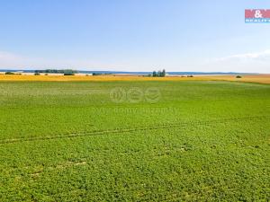 Prodej louky, Kotovice - Záluží, 31349 m2