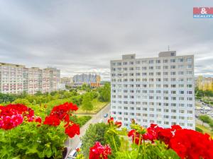 Prodej bytu 1+1, Praha - Bohnice, Ratibořská, 47 m2
