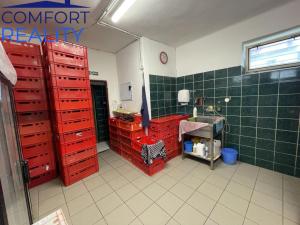 Pronájem obchodního prostoru, Odry, Masarykovo náměstí, 90 m2